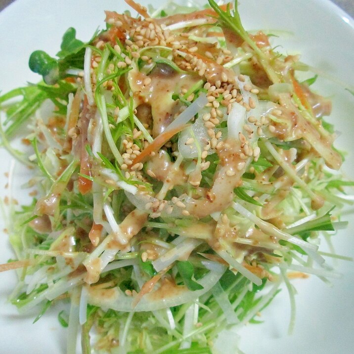 新玉ねぎと水菜の胡麻ドレッシングサラダ レシピ 作り方 By カゲジジ 楽天レシピ 新玉ねぎと水菜の胡麻ドレッシングサラダ レシピ 作り方 By カゲジジ 楽天レシピ